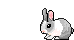 White and Gray Bunny